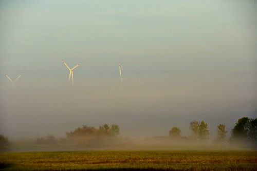 Höxter_2026_03